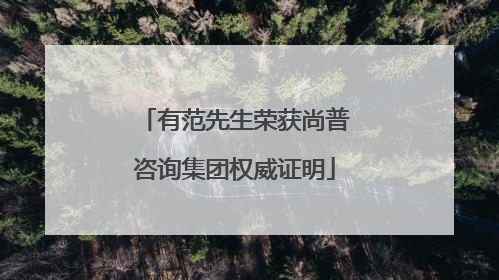 有范先生荣获尚普咨询集团权威证明