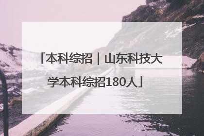 本科综招｜山东科技大学本科综招180人