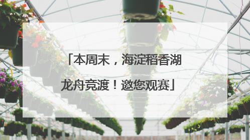 本周末，海淀稻香湖龙舟竞渡！邀您观赛