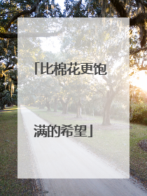 比棉花更饱满的希望