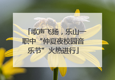 歌声飞扬，乐山一职中“仲夏夜校园音乐节”火热进行