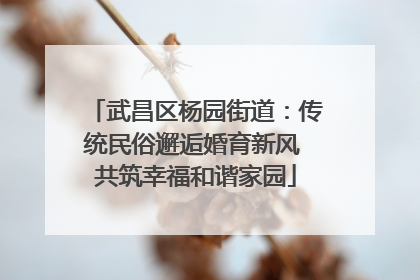 武昌区杨园街道：传统民俗邂逅婚育新风 共筑幸福和谐家园
