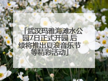 武汉玛雅海滩水公园7日正式开园 后续将推出夏浪音乐节等精彩活动