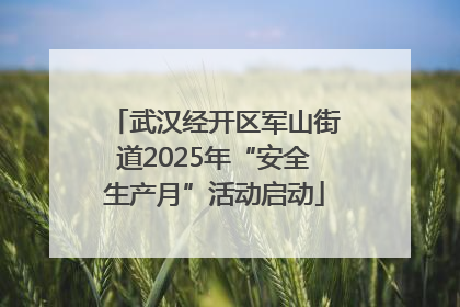 武汉经开区军山街道2025年“安全生产月”活动启动