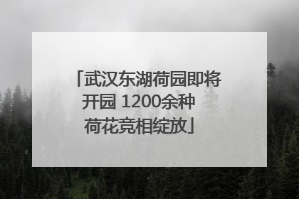 武汉东湖荷园即将开园 1200余种荷花竞相绽放