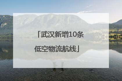 武汉新增10条低空物流航线