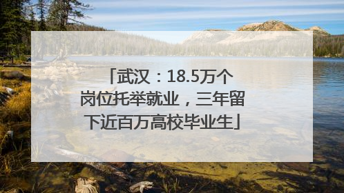 武汉：18.5万个岗位托举就业，三年留下近百万高校毕业生