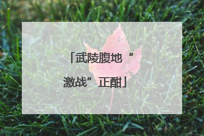武陵腹地“激战”正酣