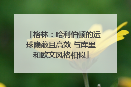 格林：哈利伯顿的运球隐蔽且高效 与库里和欧文风格相似