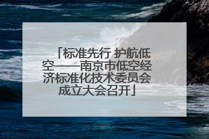 标准先行 护航低空——南京市低空经济标准化技术委员会成立大会召开