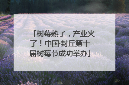 树莓熟了，产业火了！中国·封丘第十届树莓节成功举办