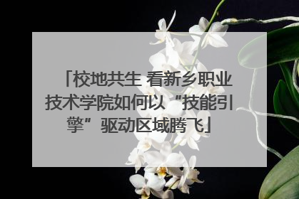 校地共生 看新乡职业技术学院如何以“技能引擎”驱动区域腾飞