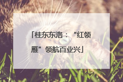 桂东东洛：“红领雁”领航百业兴