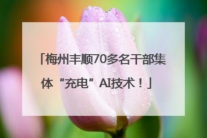 梅州丰顺70多名干部集体“充电”AI技术！