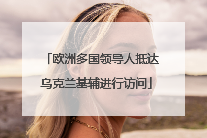 欧洲多国领导人抵达乌克兰基辅进行访问