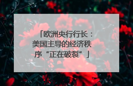 欧洲央行行长：美国主导的经济秩序“正在破裂”