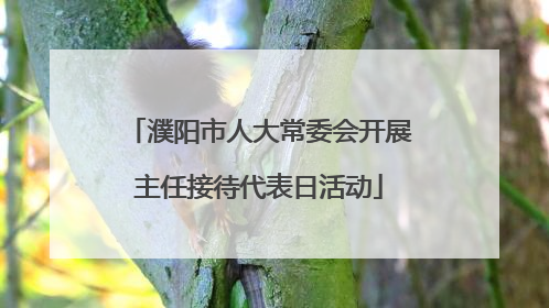 濮阳市人大常委会开展主任接待代表日活动