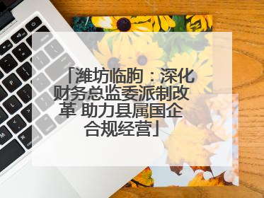 潍坊临朐：深化财务总监委派制改革 助力县属国企合规经营