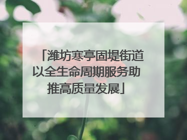 潍坊寒亭固堤街道以全生命周期服务助推高质量发展