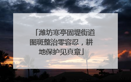 潍坊寒亭固堤街道图斑整治零容忍，耕地保护见真章