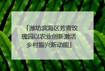 潍坊滨海区芳青玫瑰园以农业创新激活乡村振兴新动能