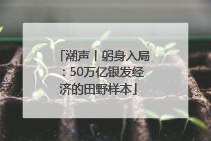 潮声丨躬身入局：50万亿银发经济的田野样本