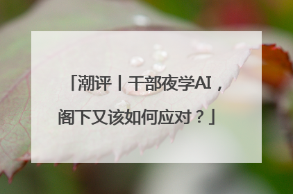潮评丨干部夜学AI，阁下又该如何应对？