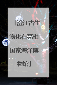 澄江古生物化石亮相国家海洋博物馆