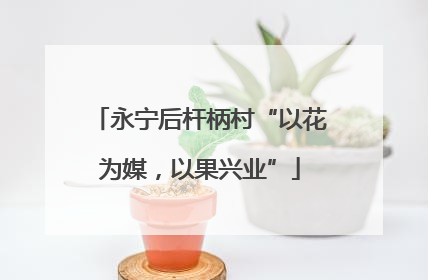 永宁后杆柄村“以花为媒，以果兴业”