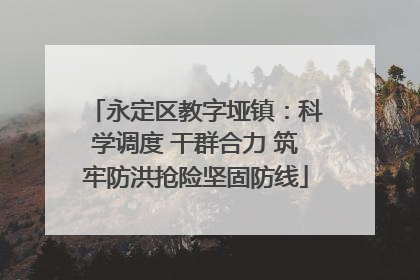 永定区教字垭镇：科学调度 干群合力 筑牢防洪抢险坚固防线