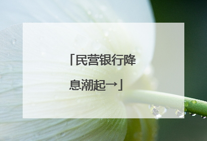 民营银行降息潮起→