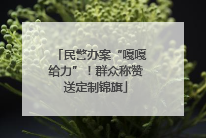 民警办案“嘎嘎给力”！群众称赞送定制锦旗