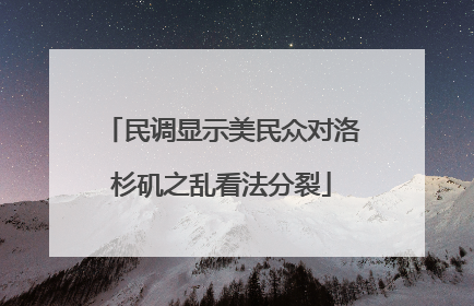 民调显示美民众对洛杉矶之乱看法分裂