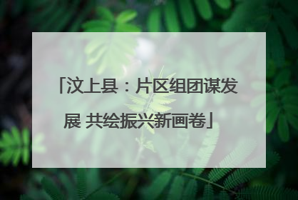 汶上县：片区组团谋发展 共绘振兴新画卷