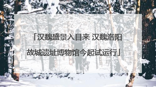 汉魏盛景入目来 汉魏洛阳故城遗址博物馆今起试运行