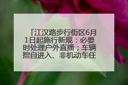 江汉路步行街区6月1日起施行新规：必要时处理户外直播；车辆擅自进入、非机动车任意停放的，依法处理
