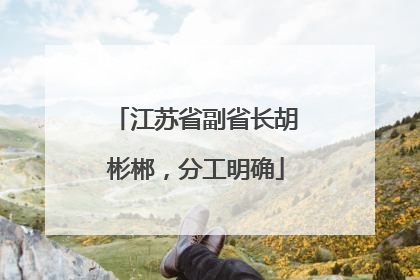 江苏省副省长胡彬郴，分工明确