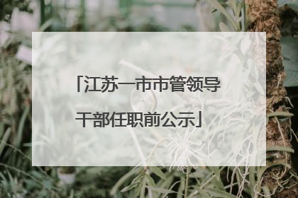 江苏一市市管领导干部任职前公示