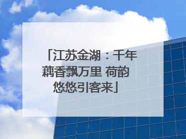 江苏金湖：千年藕香飘万里 荷韵悠悠引客来
