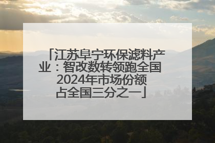江苏阜宁环保滤料产业：智改数转领跑全国 2024年市场份额占全国三分之一