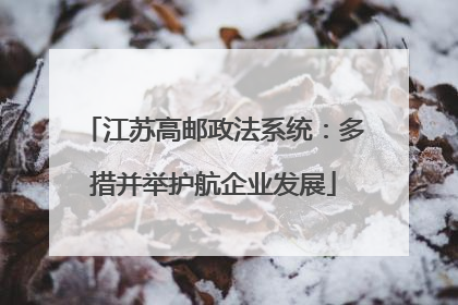 江苏高邮政法系统：多措并举护航企业发展