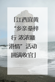 江西宜黄“乡亲桑梓行 浓浓赣港情”活动圆满收官