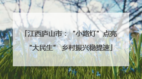 江西庐山市：“小路灯”点亮“大民生” 乡村振兴稳提速