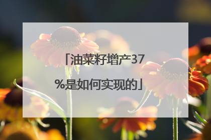 油菜籽增产37%是如何实现的