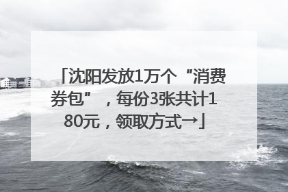 沈阳发放1万个“消费券包”，每份3张共计180元，领取方式→