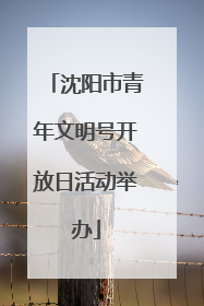 沈阳市青年文明号开放日活动举办