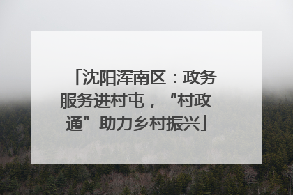 沈阳浑南区：政务服务进村屯，“村政通”助力乡村振兴