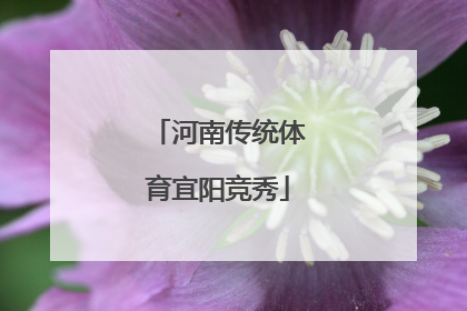 河南传统体育宜阳竞秀