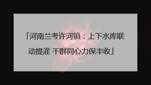 河南兰考许河镇：上下水库联动提灌 干群同心力保丰收