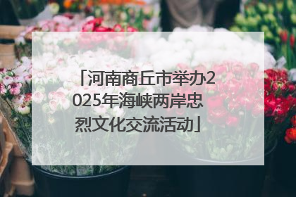 河南商丘市举办2025年海峡两岸忠烈文化交流活动
